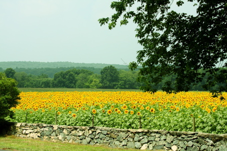 Enlarge photo 85
