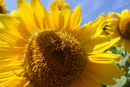 Enlarge photo 23