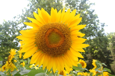 Enlarge photo 28