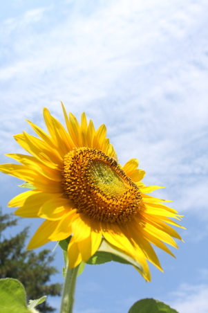 Enlarge photo 33