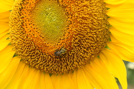 Enlarge photo 46