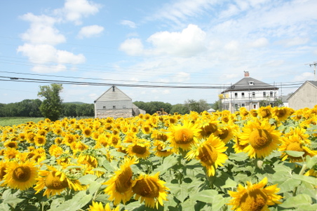 Enlarge photo 125