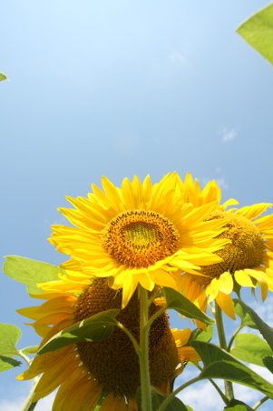 Enlarge photo 127