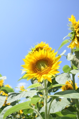 Enlarge photo 129