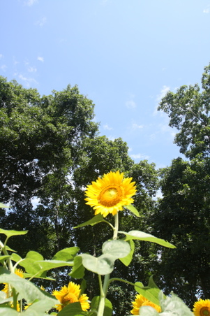 Enlarge photo 192