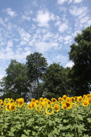 Enlarge photo 206