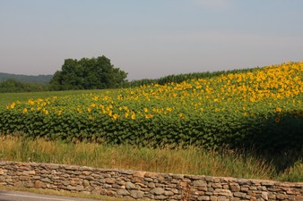 Enlarge photo 2