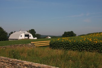 Enlarge photo 13