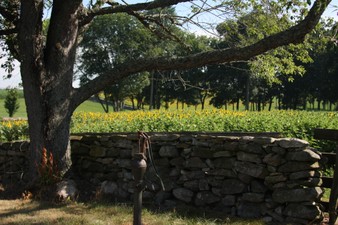 Enlarge photo 31