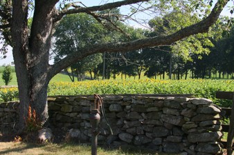 Enlarge photo 32