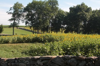 Enlarge photo 34