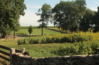 Enlarge photo 35