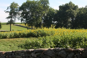 Enlarge photo 36