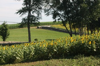 Enlarge photo 38