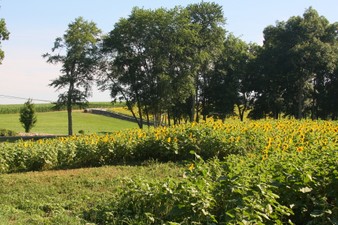 Enlarge photo 40