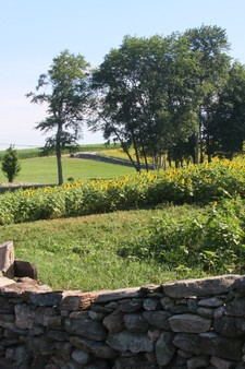 Enlarge photo 41