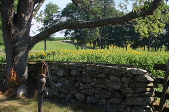 Enlarge photo 42