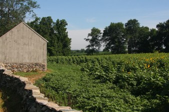 Enlarge photo 47