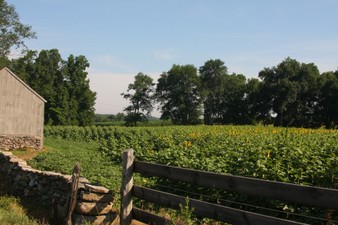 Enlarge photo 48