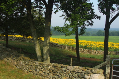 Enlarge photo 87