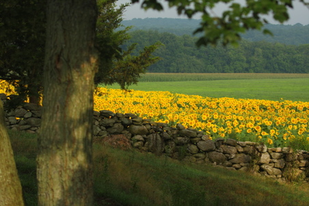 Enlarge photo 88