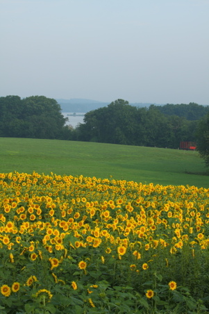 Enlarge photo 90
