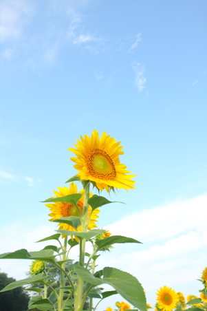 Enlarge photo 14