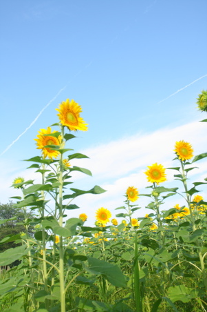 Enlarge photo 22