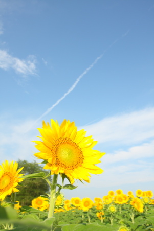 Enlarge photo 26