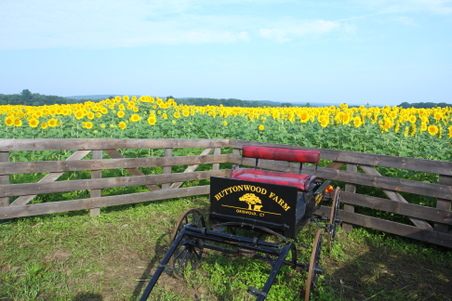 Enlarge photo 107