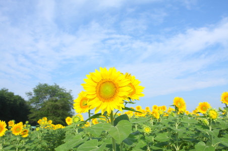 Enlarge photo 110