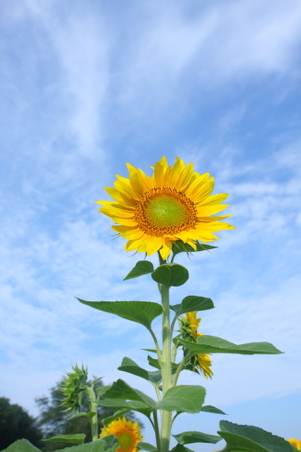 Enlarge photo 41