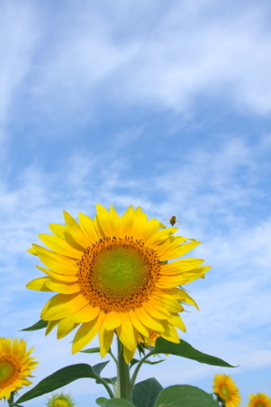Enlarge photo 42