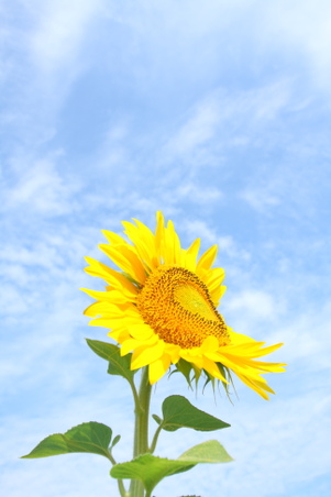Enlarge photo 47