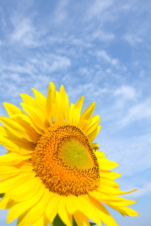 Enlarge photo 48