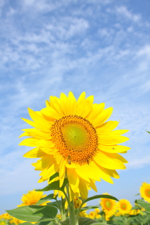 Enlarge photo 123