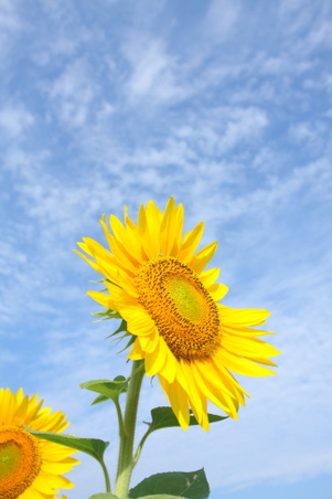 Enlarge photo 124