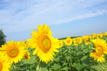 Enlarge photo 125