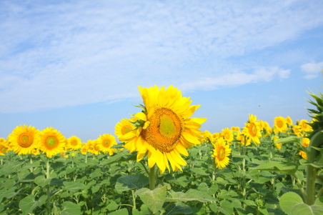 Enlarge photo 126