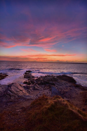 Enlarge photo 161