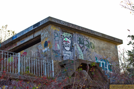 Enlarge photo 4