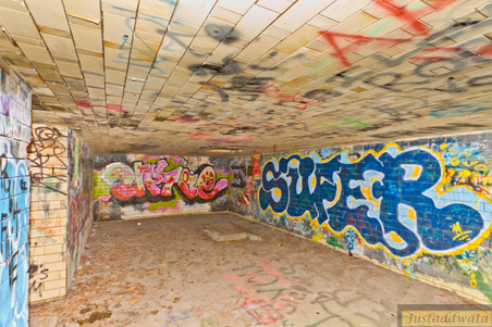 Enlarge photo 16