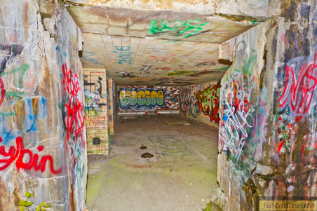 Enlarge photo 19