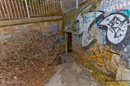 Enlarge photo 36
