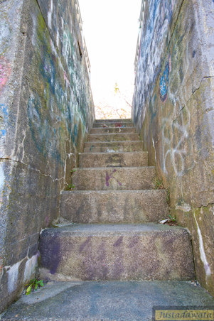 Enlarge photo 37