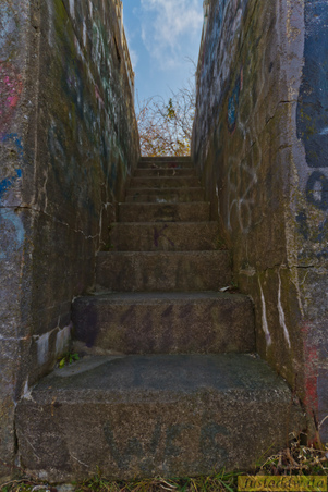 Enlarge photo 38