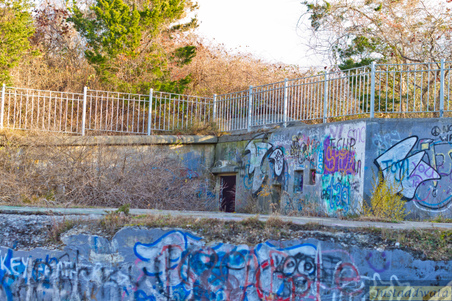 Enlarge photo 41