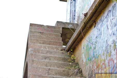 Enlarge photo 46