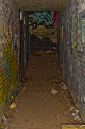 Enlarge photo 47