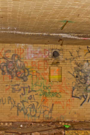 Enlarge photo 51